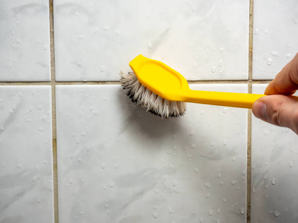 Best Mold Testing  in Moapa Valley, NV