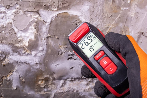 Water Damage Restoration in Moapa Valley, NV
