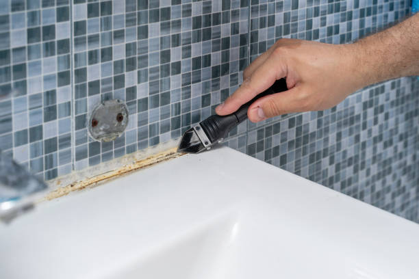 Best Home Mold Removal  in Moapa Valley, NV