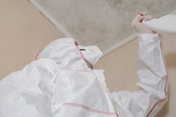 Mold Testing and Removal in Moapa Valley, NV