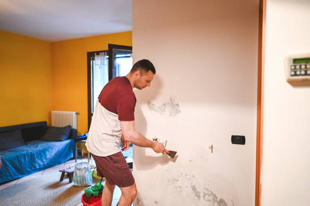 Professional Mold Removal in Moapa Valley, NV